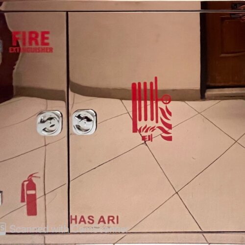 جعبه آتش نشانی استاندارد استیل مسی هاساری